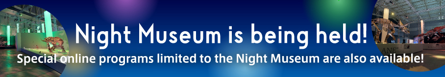 Night Museum is being held! Special online programs limited to the Night Museum are also available!