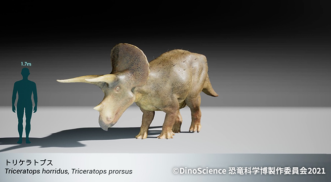 3DCGで再現されたトリケラトプスの表示イメージ