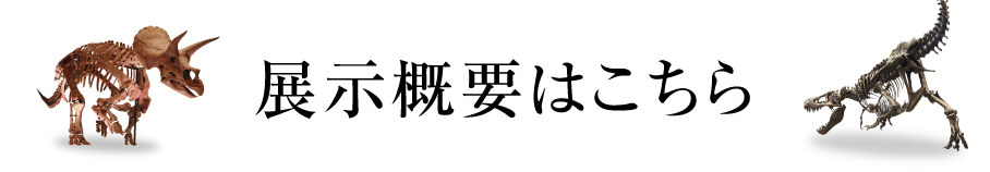 展示概要はこちら