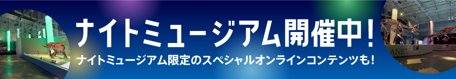 ナイトミュージアム開催中！ナイトミュージアム限定のスペシャルオンラインコンテンツも！