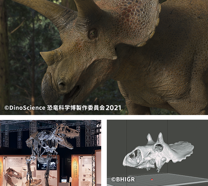 トリケラトプスの皮膚イメージや頭蓋骨イメージ ©DinoScience 恐⻯科学博製作委員会 ©BHIGR