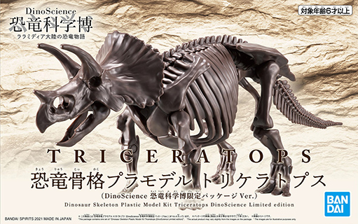 image of Triceratops skeleton model kit package