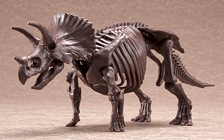 image of Triceratops skeleton model kit