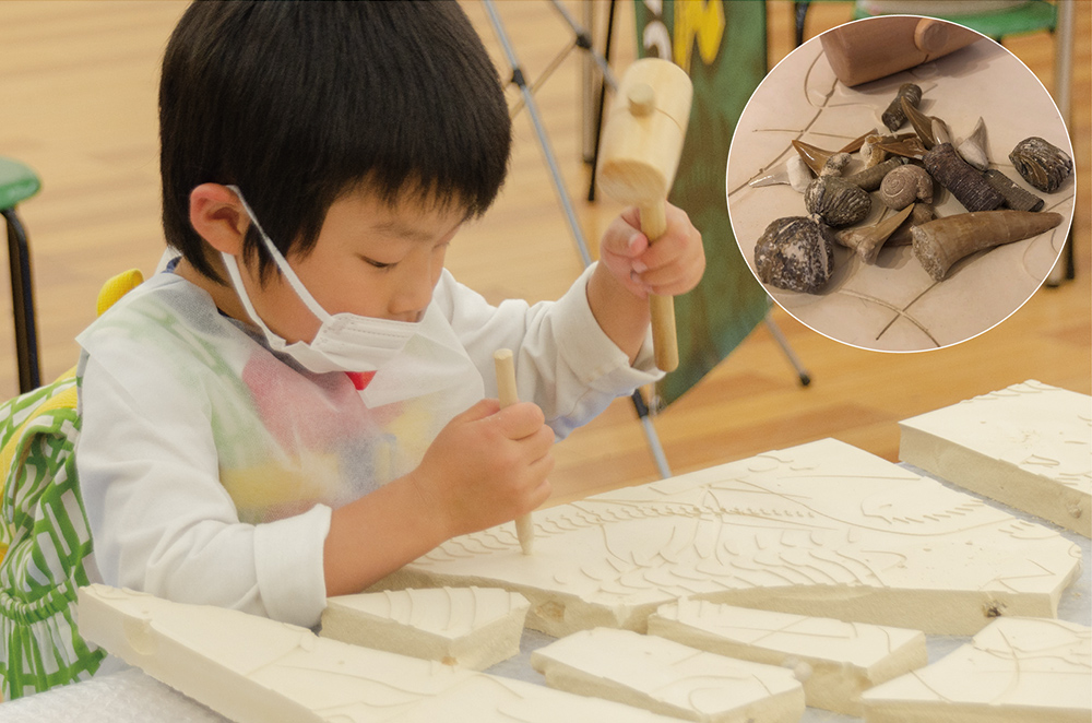 image: Treasure Hunters! Fossil Excavation Experience