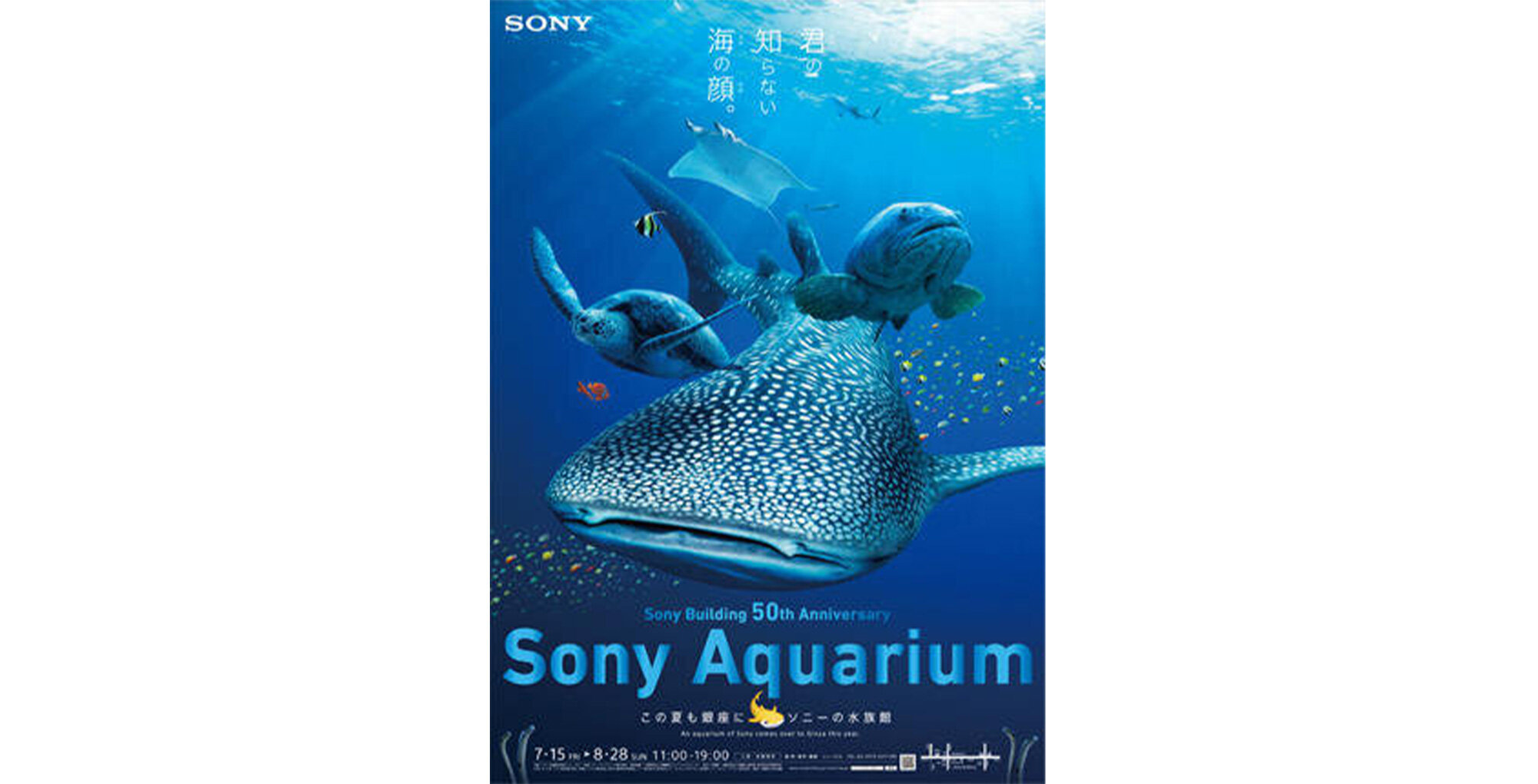 Sony Aquarium 2016