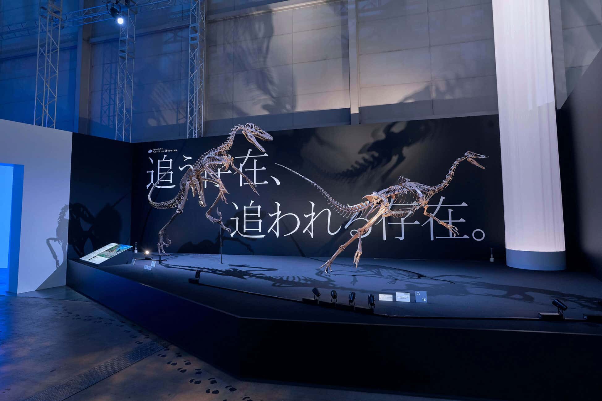 DinoScience 恐竜科学博　展示風景