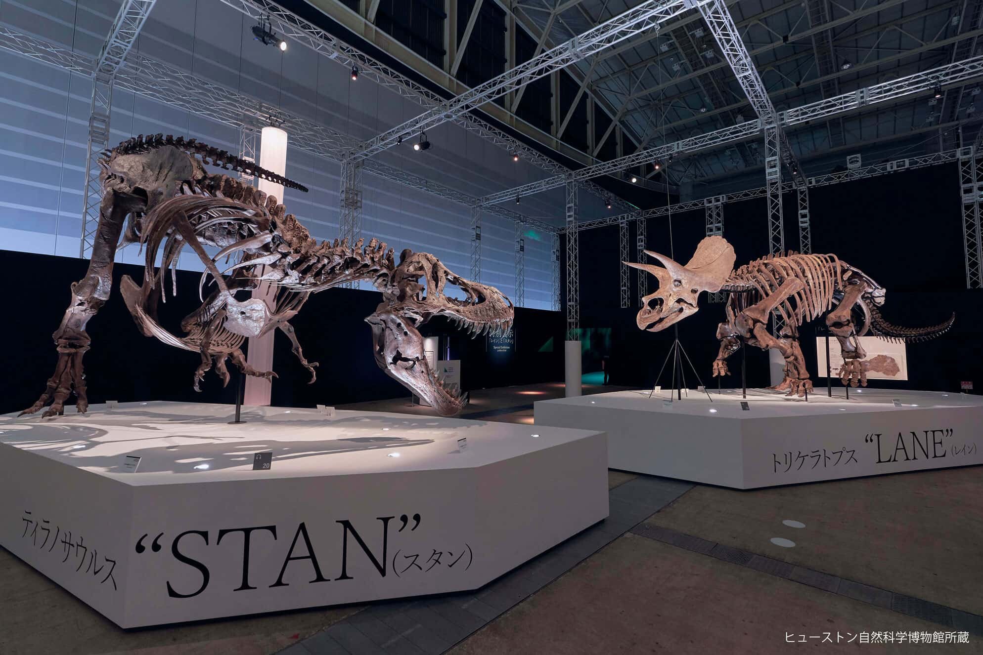 DinoScience 恐竜科学博　展示風景