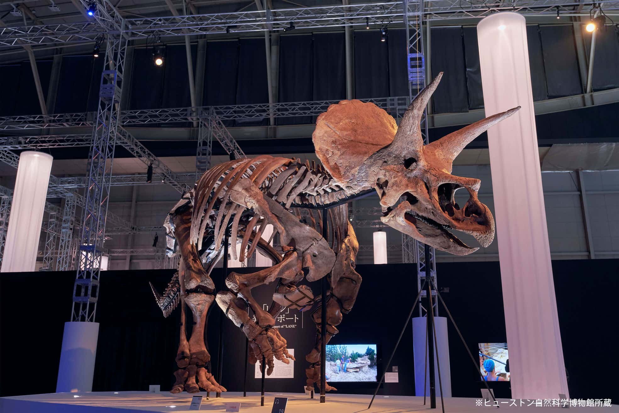 DinoScience 恐竜科学博　展示風景